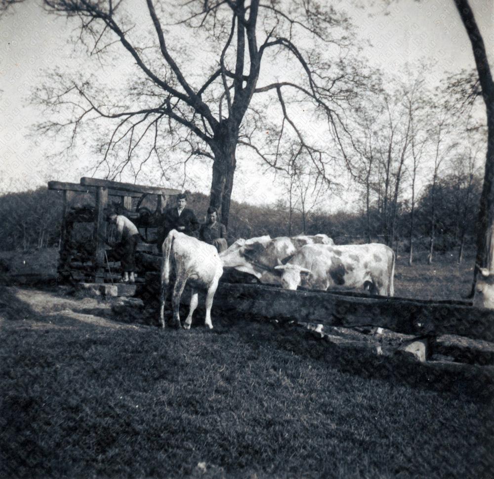 Archív kép i9mm2-img167