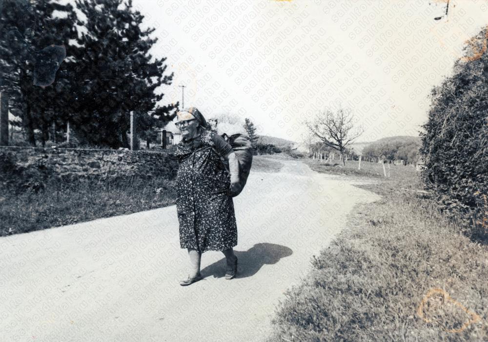 Archív kép nb76x-img048