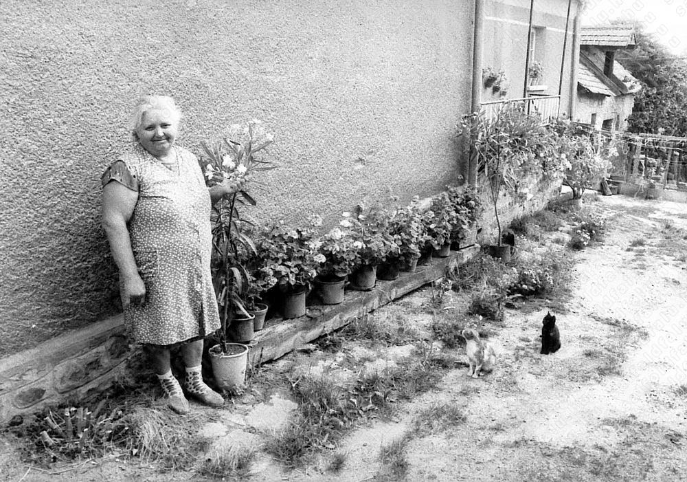 Archív kép u877x-013