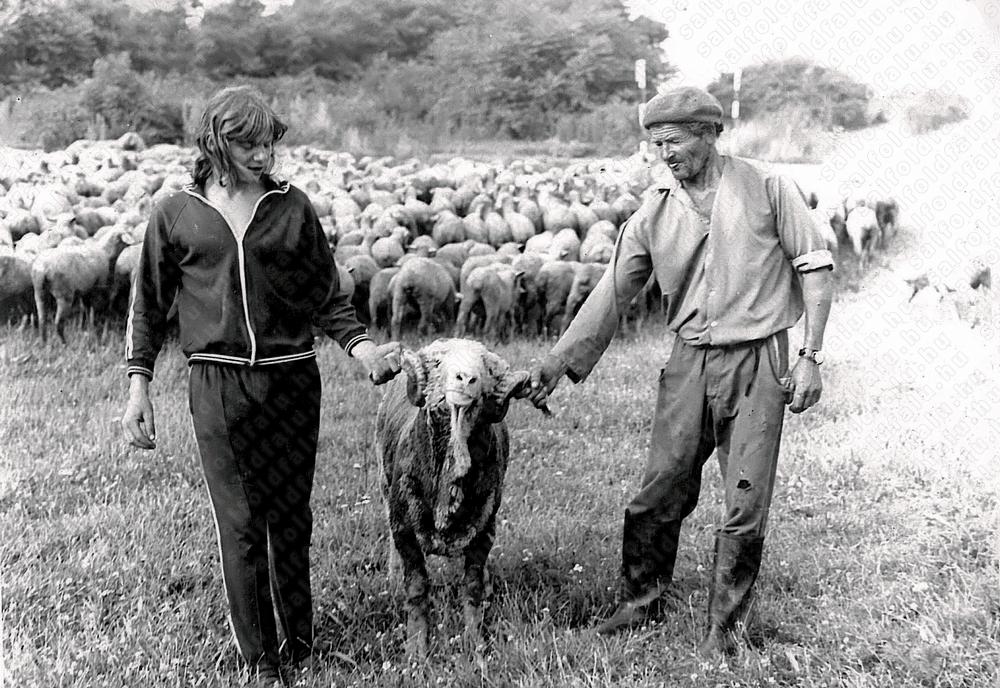 Archív kép u877x-014