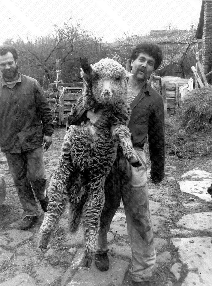 Archív kép u877x-020